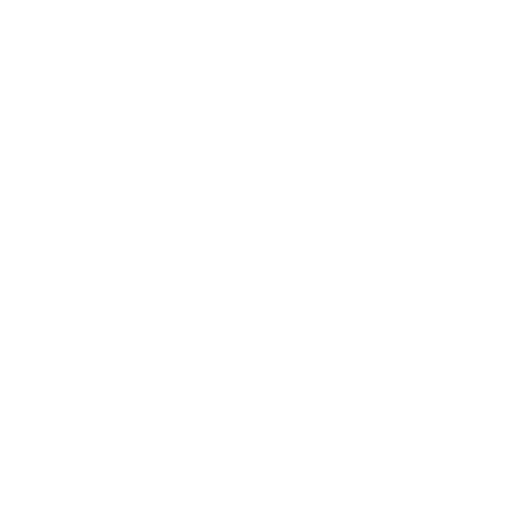 Deep Fryer